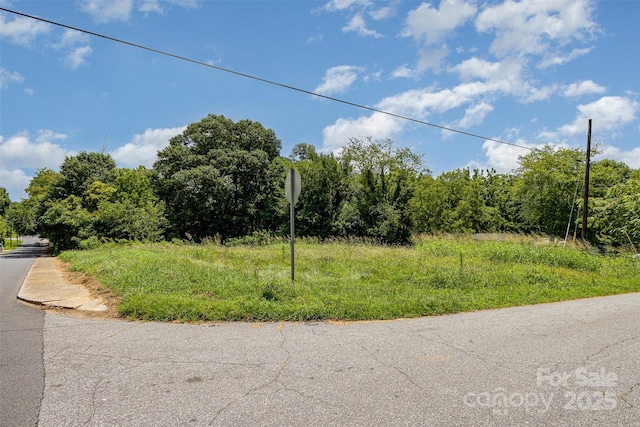TBD Lee Avenue, Lincolnton, NC 28092 - photo 5