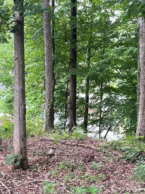 7750 Bankhead Rd, Denver, NC 28037 - photo 2