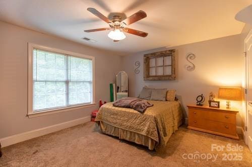 207 Streamside Pl, Mooresville, NC 28115 - photo 29