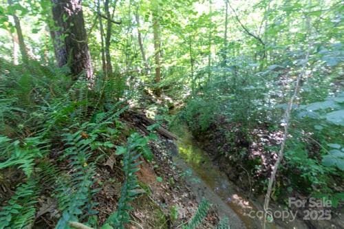 207 Streamside Pl, Mooresville, NC 28115 - photo 41