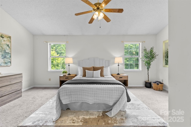 13843 Poppleton Ct, Charlotte, NC 28273 - photo 15