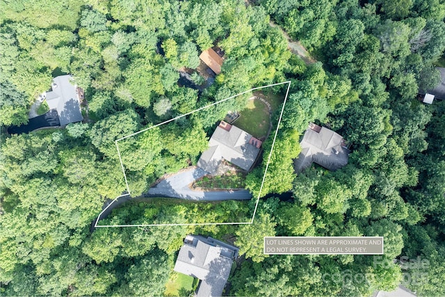 188 Blue Ridge Overlook Dr, Brevard, NC 28712 - photo 2
