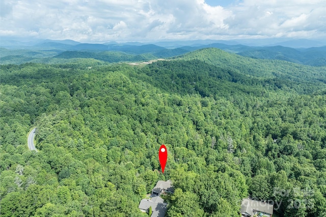 188 Blue Ridge Overlook Dr, Brevard, NC 28712 - photo 48
