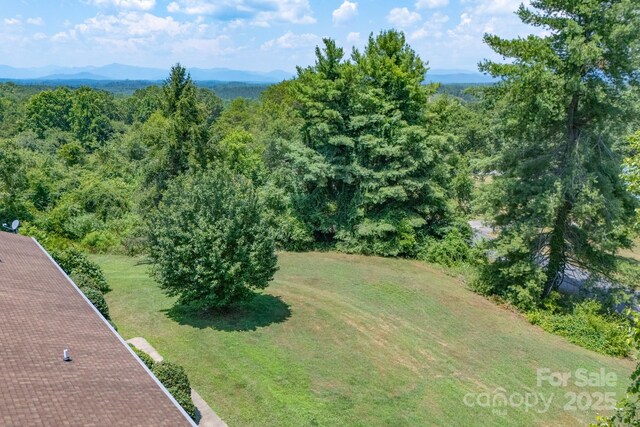 201 Fleming Dr, Rutherfordton, NC 28139 - photo 3