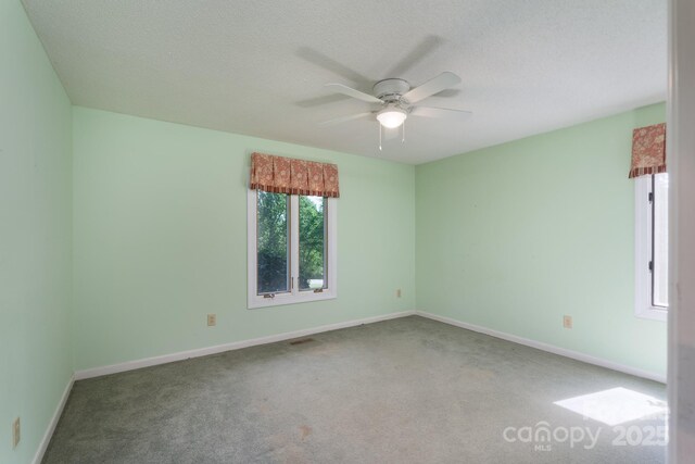 201 Fleming Dr, Rutherfordton, NC 28139 - photo 13