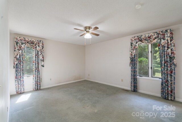 201 Fleming Dr, Rutherfordton, NC 28139 - photo 17
