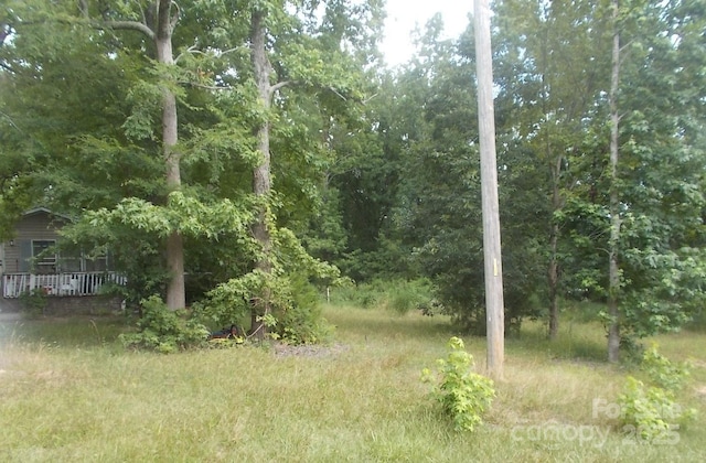3815 Richard Coffey Ln, Waxhaw, NC 28173 - photo 7