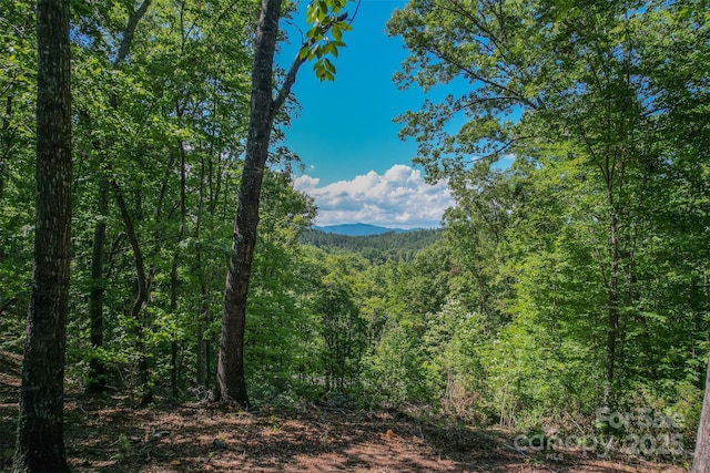 LOT6 S Cross Creek Trl, Mill Spring, NC 28756 - photo 1