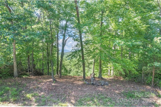 LOT6 S Cross Creek Trl, Mill Spring, NC 28756 - photo 3