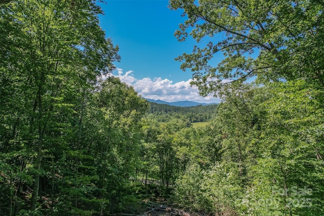 LOT6 S Cross Creek Trl, Mill Spring, NC 28756 - photo 4