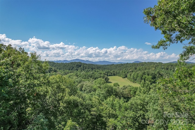 LOT6 S Cross Creek Trl, Mill Spring, NC 28756 - photo 5