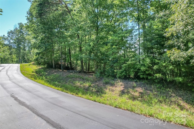 LOT6 S Cross Creek Trl, Mill Spring, NC 28756 - photo 6