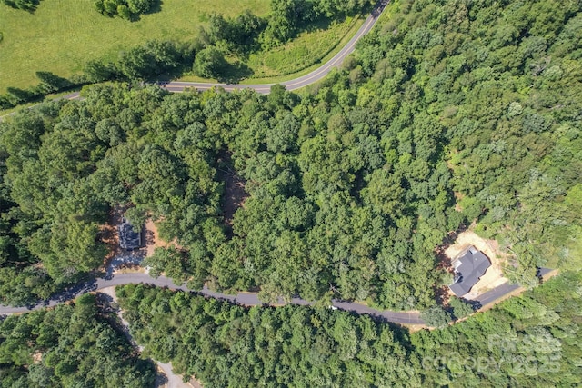 LOT6 S Cross Creek Trl, Mill Spring, NC 28756 - photo 8