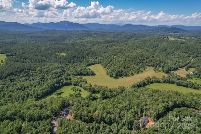 LOT6 S Cross Creek Trl, Mill Spring, NC 28756 - photo 9