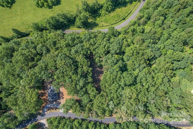 LOT6 S Cross Creek Trl, Mill Spring, NC 28756 - photo 10