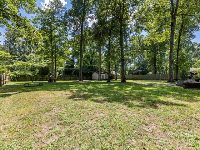 1018 Shady Bluff Dr, Charlotte, NC 28211 - photo 26