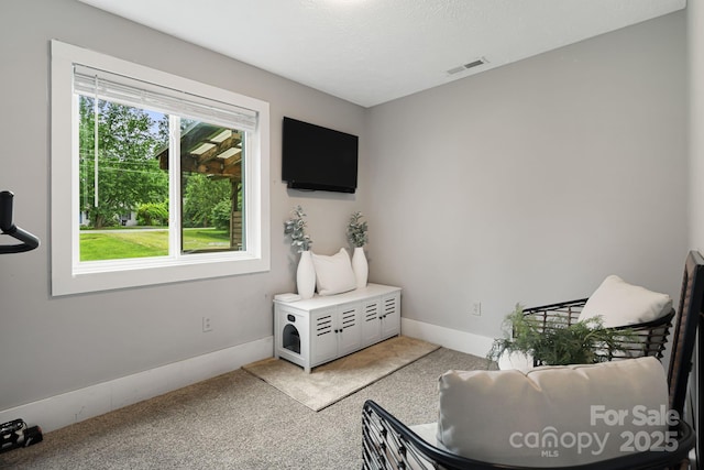 127 Oaken Hill Pl, Black Mountain, NC 28711 - photo 16