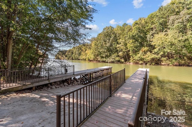 19241 Lake Norman Cove Dr, Cornelius, NC 28031 - photo 31