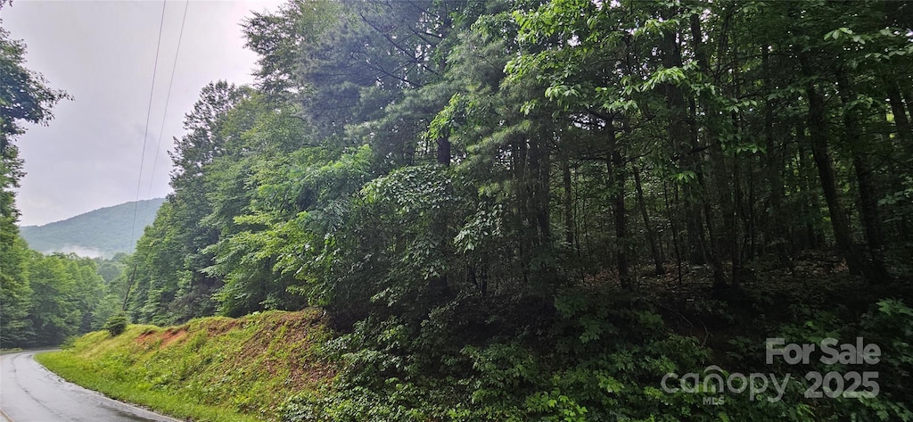 0 Old Ccc Rd, Hendersonville, NC 28739 - photo 1