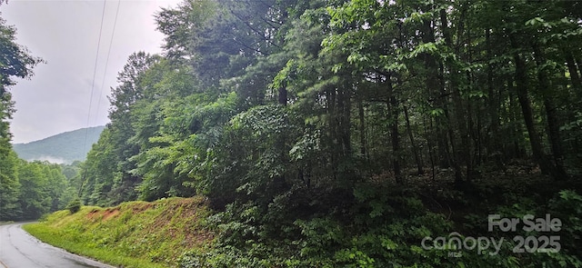 0 Old Ccc Rd, Hendersonville, NC 28739 - photo 1