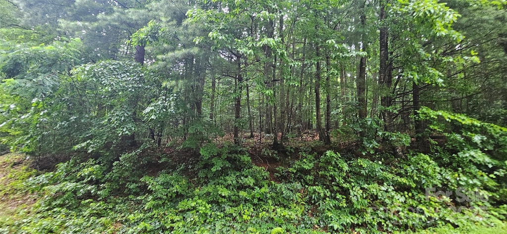0 Old Ccc Rd, Hendersonville, NC 28739 - photo 2