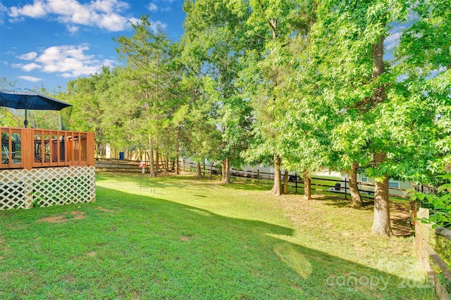 10009 Patrick Springs Ct, Matthews, NC 28105 - photo 38