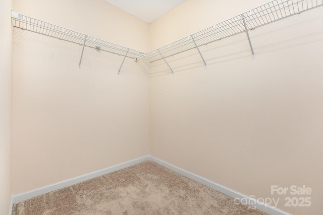 1010 Craven St, Indian Trail, NC 28079 - photo 17