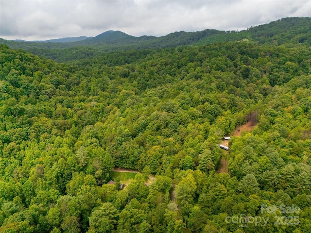 3443 Valley Dr, Lenoir, NC 28645 - photo 24
