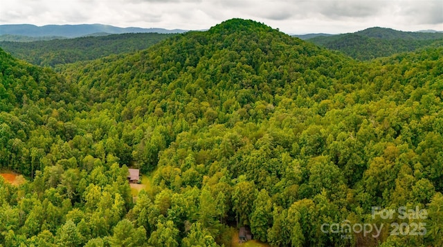 3443 Valley Dr, Lenoir, NC 28645 - photo 25