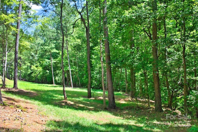 321 Hearthstone Dr, Union Mills, NC 28167 - photo 17
