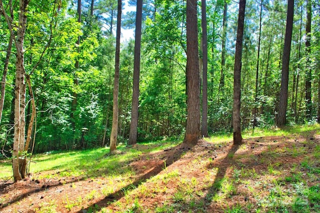 321 Hearthstone Dr, Union Mills, NC 28167 - photo 18
