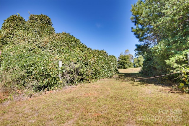 LOT13 Buffalo Creek Rd Unit 13, Lake Lure, NC 28746 - photo 2