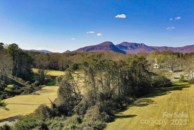 LOT13 Buffalo Creek Rd Unit 13, Lake Lure, NC 28746 - photo 7
