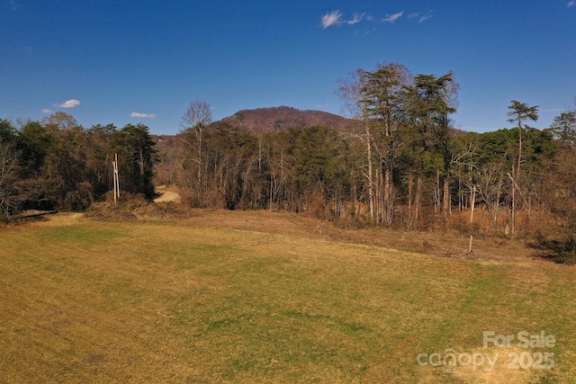 LOT13 Buffalo Creek Rd Unit 13, Lake Lure, NC 28746 - photo 8