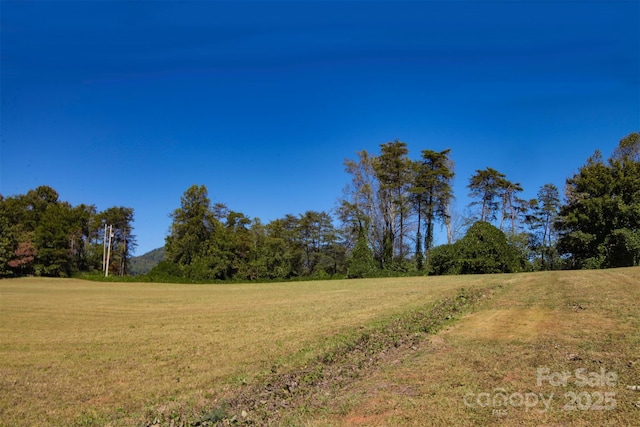 LOT13 Buffalo Creek Rd Unit 13, Lake Lure, NC 28746 - photo 12