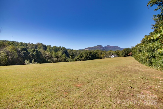 LOT13 Buffalo Creek Rd Unit 13, Lake Lure, NC 28746 - photo 13