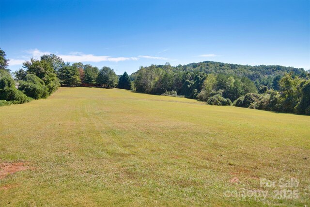 LOT13 Buffalo Creek Rd Unit 13, Lake Lure, NC 28746 - photo 14