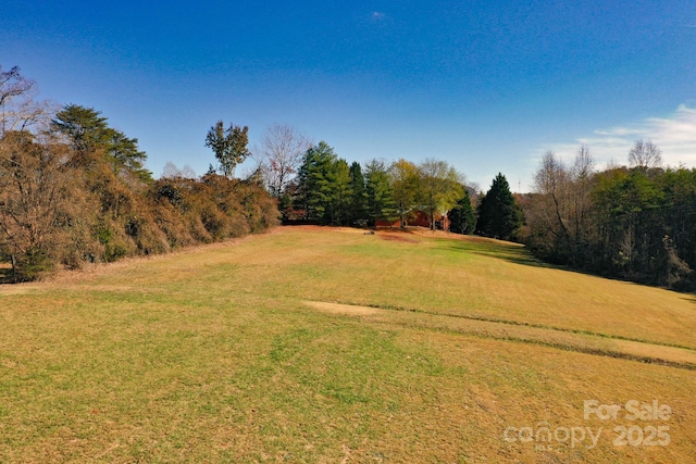 LOT13 Buffalo Creek Rd Unit 13, Lake Lure, NC 28746 - photo 16