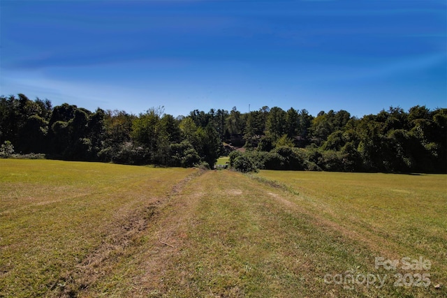 LOT13 Buffalo Creek Rd Unit 13, Lake Lure, NC 28746 - photo 17