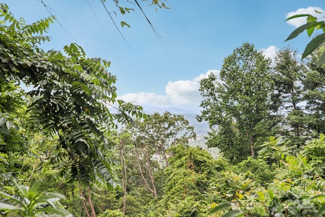 647 Town Mountain Rd Unit 212, Asheville, NC 28804 - photo 18