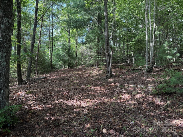 TBD Deer Run Rd Unit 231, Purlear, NC 28665 - photo 3