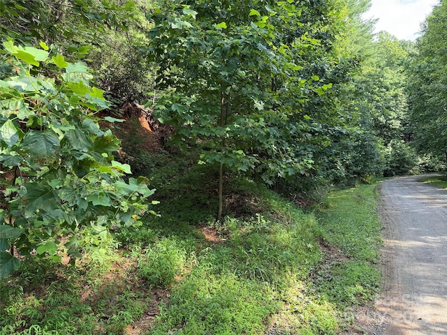 TBD Deer Run Rd Unit 231, Purlear, NC 28665 - photo 7