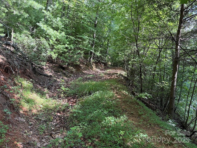 TBD Deer Run Rd Unit 231, Purlear, NC 28665 - photo 8