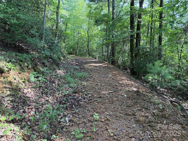 TBD Deer Run Rd Unit 231, Purlear, NC 28665 - photo 9