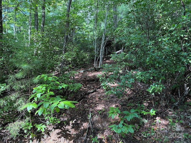TBD Deer Run Rd Unit 231, Purlear, NC 28665 - photo 10
