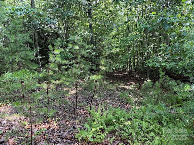 TBD Deer Run Rd Unit 231, Purlear, NC 28665 - photo 11