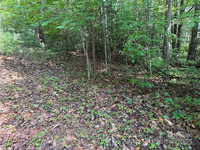 TBD Deer Run Rd Unit 231, Purlear, NC 28665 - photo 12