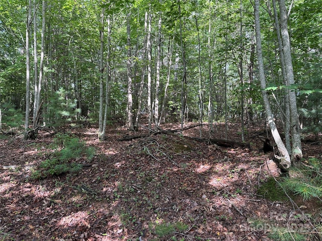 TBD Deer Run Rd Unit 231, Purlear, NC 28665 - photo 13