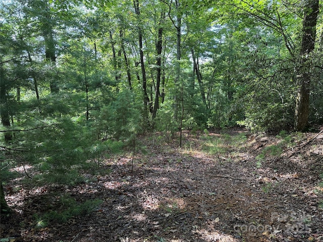 TBD Deer Run Rd Unit 231, Purlear, NC 28665 - photo 15