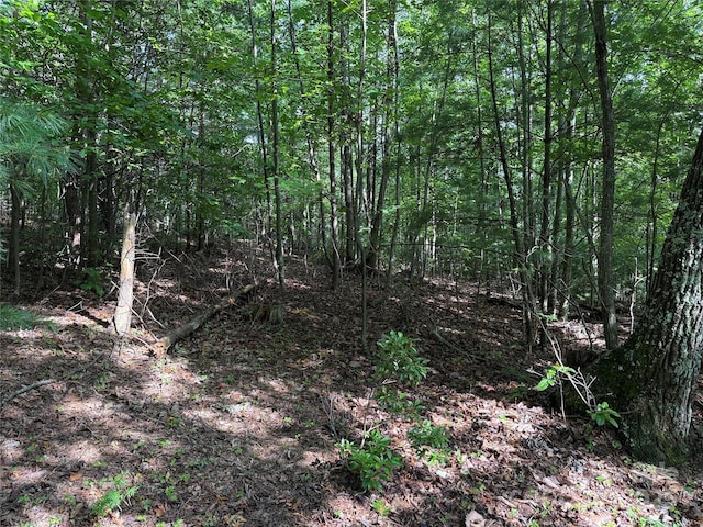 TBD Deer Run Rd Unit 231, Purlear, NC 28665 - photo 16